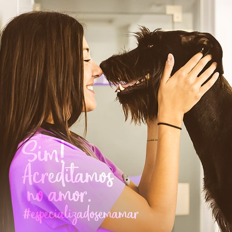 Especializados em Amar | Clínica Veterinária Ágape